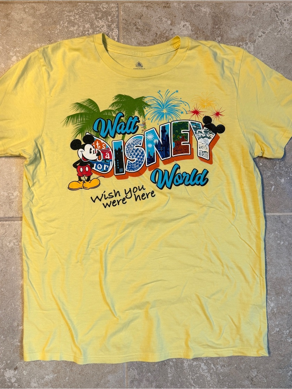 Vintage-Style Walt Disney World "Wish You Were Here" Graphic Tee
